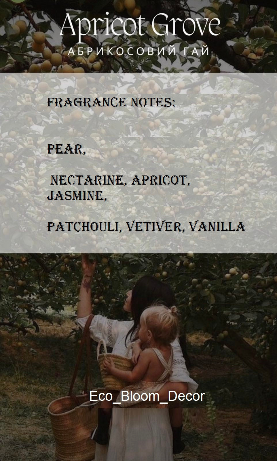 Apricot Grove – Soy Candle 100 ml