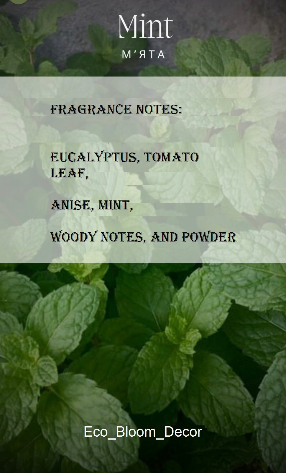 Mint – Soy Candle 100 ml