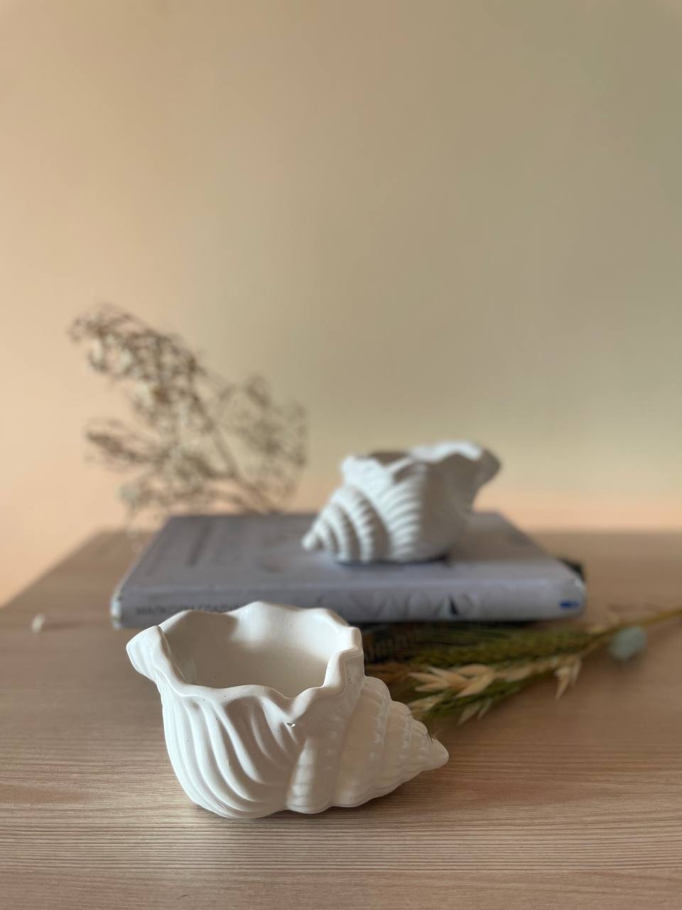 Shell-Shaped Gypsum Planter