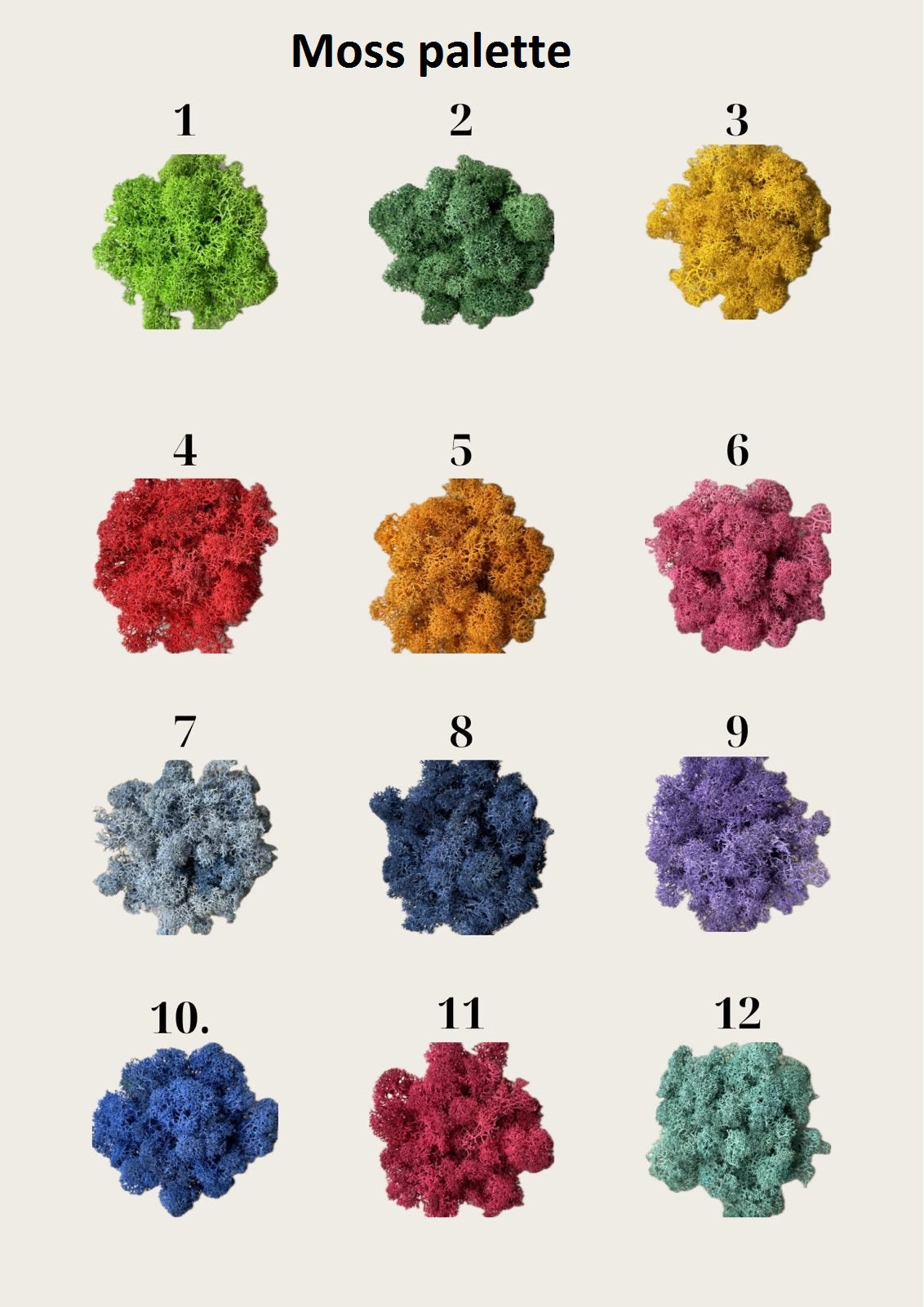 Mossarium 20 cm – Rectangular Glass