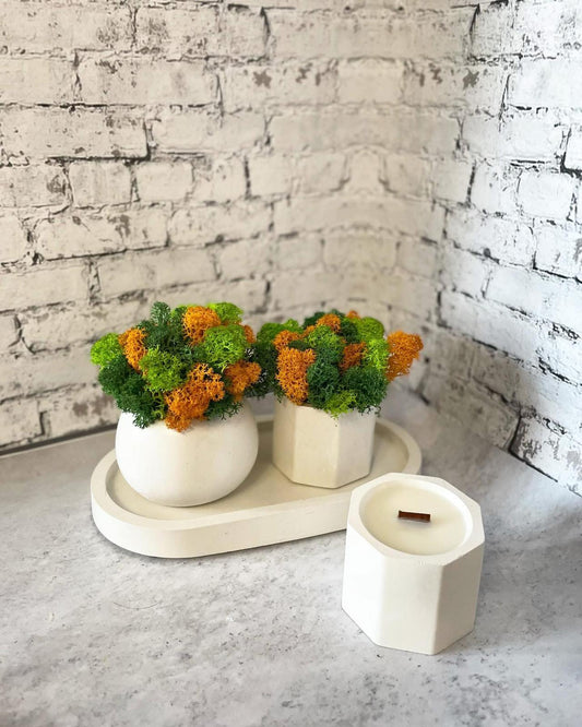 Decor set - planter and soy candle